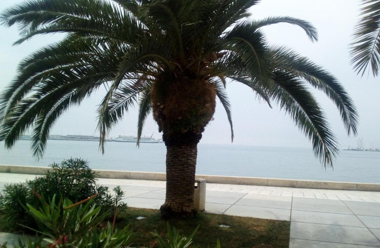 Elly Apartments Split Dış mekan fotoğraf